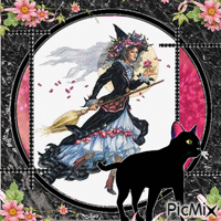 witch and her cat black and pink