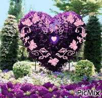 Lilac Animiertes GIF