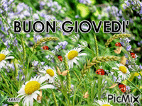 BUON GIOVEDI' - 無料のアニメーション GIF