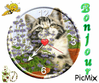 horloge chatons GIF animata