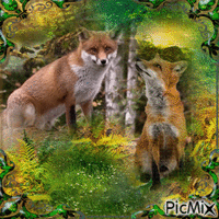 fox subordinating GIF animé
