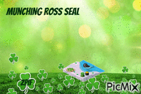 Munching ross Seal - Gratis animerad GIF
