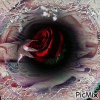 o beija flor e a rosa GIF animé