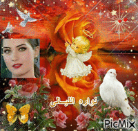 نواره الليالى - Zdarma animovaný GIF