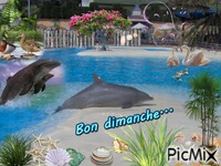Les dauphins... GIF animasi