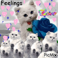 feelings - 免费动画 GIF