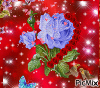 třpytivá růže - Free animated GIF