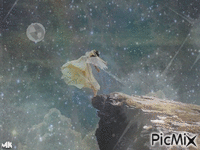 A volar Animated GIF