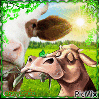 La vache dans le pré - Animovaný GIF zadarmo