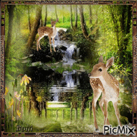 SPRING FOREST... animuotas GIF
