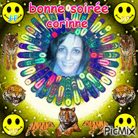 BONNE SOIREE CORINNE Animated GIF