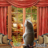 L'automne devant la fenêtre. - GIF animado gratis