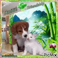 Amitié _ Friendship ♦ - Nemokamas animacinis gif