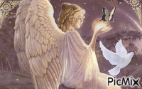 Angels in the Night - GIF animé gratuit