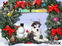 лови снежок - Ingyenes animált GIF