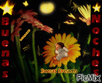 Sweat Dreams - Bezmaksas animēts GIF