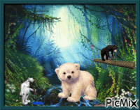 Ours animerad GIF