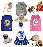 GOLDEN STATE WARRIORS - Free animated GIF