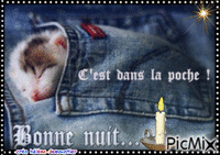 HD chat bonne nuit - Бесплатный анимированный гифка