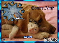 Chien et chat animowany gif