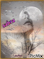 FIRMA SABRA - GIF animé gratuit