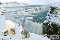 ours en hiver - GIF animado gratis