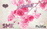 amour Animated GIF
