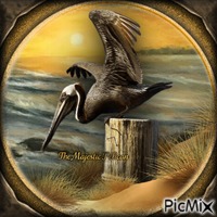 The Pelican-RM-06-13-23 - PNG gratuit