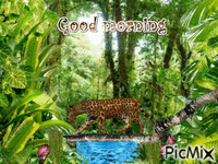 Jungle Morning - Бесплатный анимированный гифка