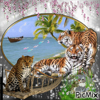 tiger and sea GIF animado