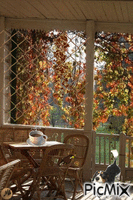 En el porche Animated GIF