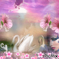 Cygnes et fleurs roses - GIF animado grátis