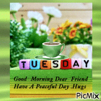 Tuesday--Good Morning GIF animé