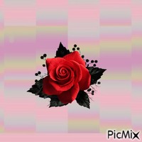 rosa - PNG gratuit