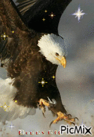 Eagle1 - Free animated GIF