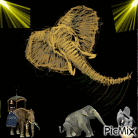 Elefant animovaný GIF