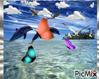 island dolphins sky - Zdarma animovaný GIF