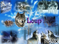 Le Loup animovaný GIF