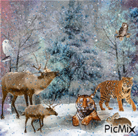 WILD ANIMALS, OWLSWINTERTIME LOTS OF SNOW AND STILL COMING DOWN. animovaný GIF