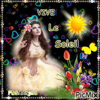 Vive le Soleil - Bezmaksas animēts GIF