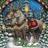 Magic of Christmas-RM-12-17-23