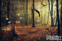 les animaux de la forêt - GIF animé gratuit
