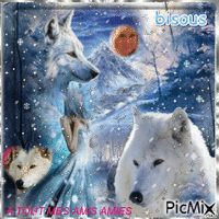 moi et le loup blanc - Ingyenes animált GIF