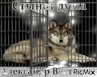 Александр Вестов - Ingyenes animált GIF