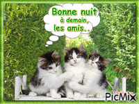 Petits chats.. анимирани ГИФ
