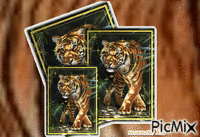 les tigres animirani GIF