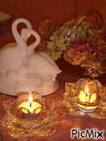 cisne e velas - GIF animado gratis