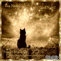 Boa noite/Good Night/Bonne Nuit - Nemokamas animacinis gif