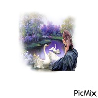 лебеди - GIF animé gratuit