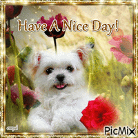 Have a nice day! - GIF animé gratuit